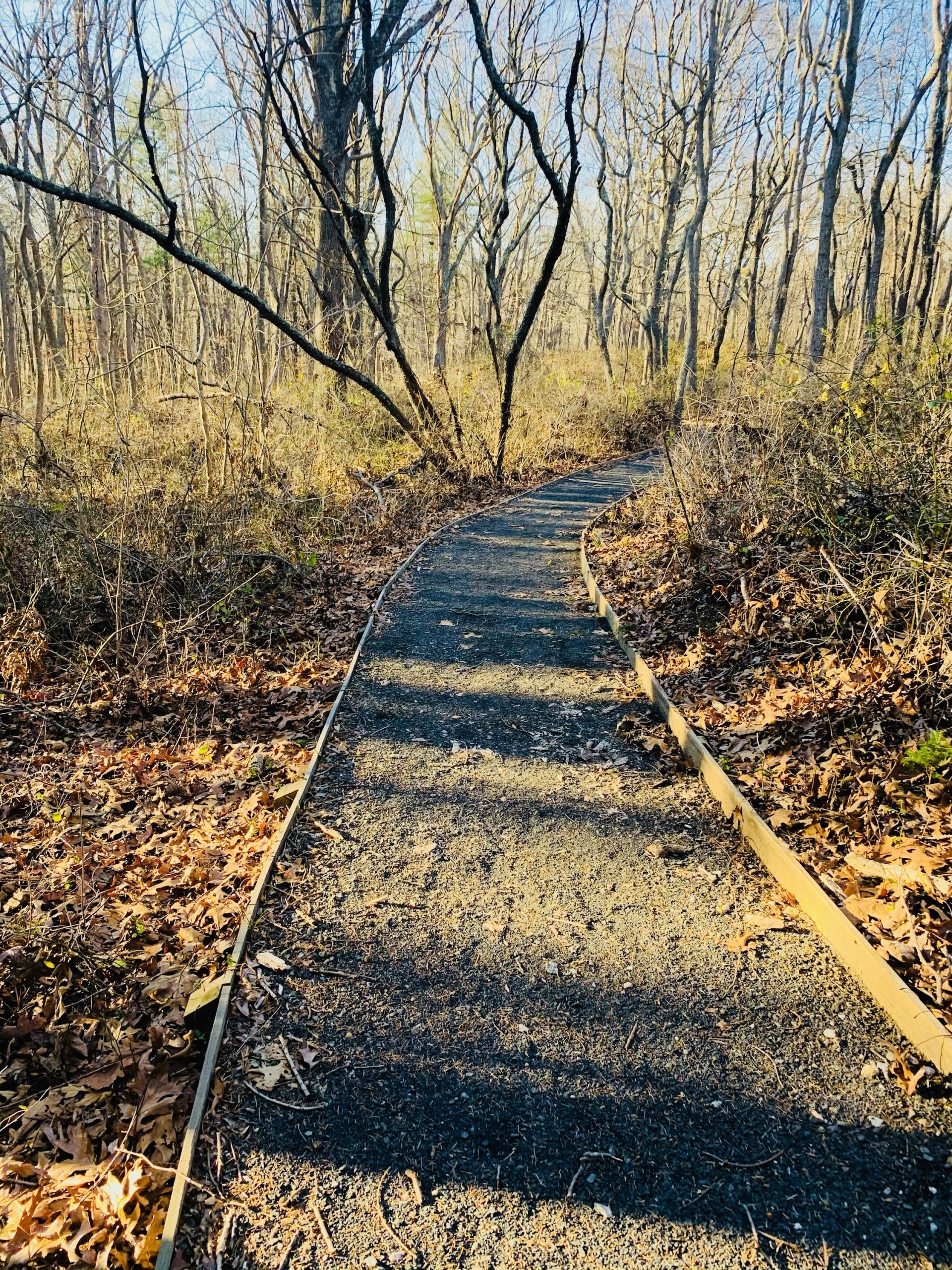 Stewart B. McKinney National Wildlife Refuge – Westbrook Public Library